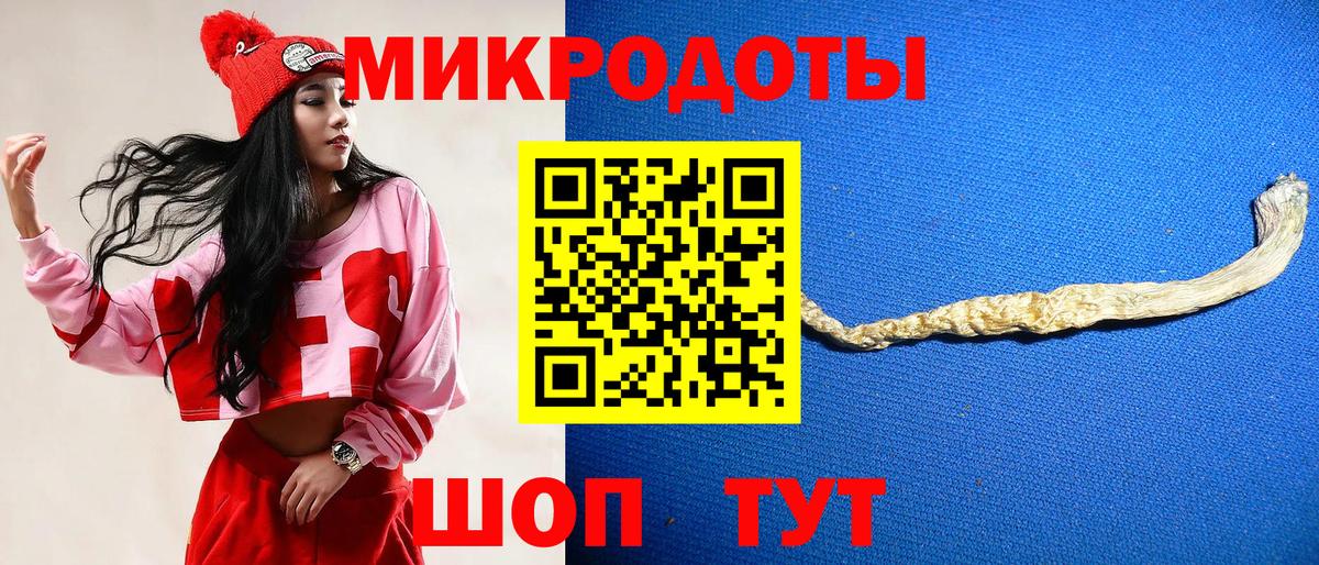 Галлюциногенные грибы Psilocybine cubensis  Вход с VPN  Галлюциногенные грибы ЛСД  Новокубанск 