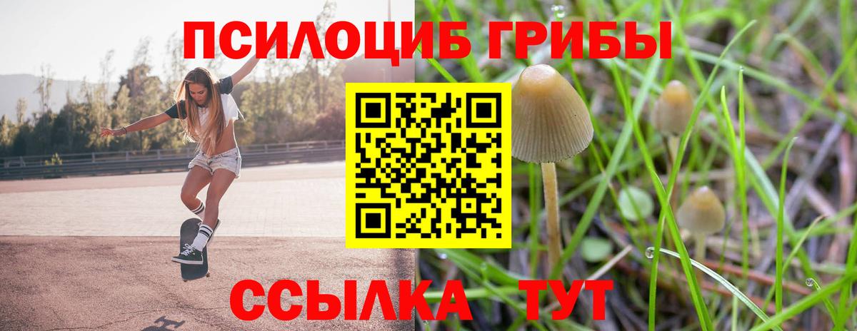 Галлюциногенные грибы Psilocybine cubensis Новокубанск
